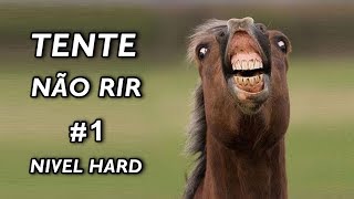 Tente Não Rir Nível Hard 1 [upl. by Sublett]