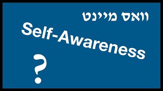 SelfAwareness Harav Naftali Horowitz [upl. by Peri]