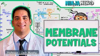 Neurology  Resting Membrane Graded Action Potentials [upl. by Dreddy]