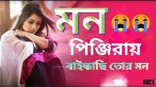 Mon Pinjirai  মন পিন্জিরা  Rakib Musabbir  Official Music Video  Bangla Song 2022 [upl. by Paddie]