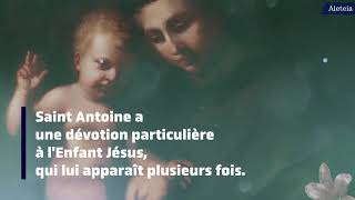 Antoine de Padoue le saint qui a multiplié les miracles [upl. by Elletsirhc879]