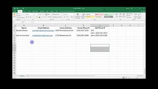 Excel Contacts List Tutorial [upl. by Bogie]