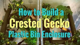 How to Build a Crested Gecko Plastic Bin Enclosure [upl. by Leuqar]