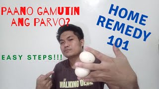 Paano gamutin ang Parvo  Home Remedy for Parvo  How to treat Parvovirus  D Jem [upl. by Alurd]