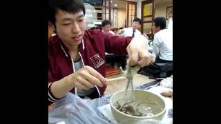 Korean eating living Octopus San Nakji 산낙지 [upl. by Wimsatt]