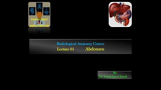 Radiological Anatomy Course Lecture 01 Abdomen Part1 [upl. by Norvol]