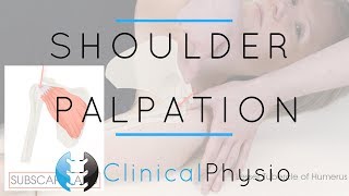 Shoulder Palpation  Clinical Physio Premium [upl. by Hammond]