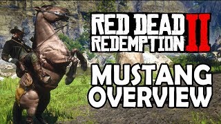 Mustang Overview  Red Dead Redemption 2 Horses [upl. by Ru]