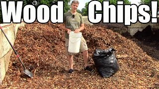 How amp Why I Use Wood Chip Mulch in the Garden [upl. by Safko]