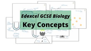 The WHOLE of Edexcel GCSE Biology KEY CONCEPTS [upl. by Pfeifer]