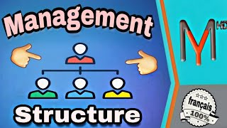 Management S1EP 05 les structures dentreprise [upl. by Kora449]