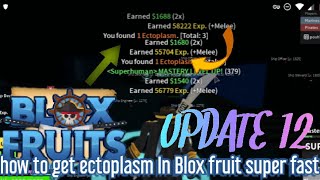 How to get ectoplasm Super Fast in Blox Fruit  Update 12 ftshadow posh [upl. by Ardnuat959]