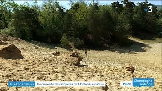 Découverte des sablières de ChâlonssurVesle [upl. by Aicina]