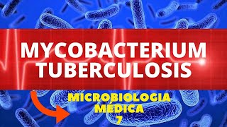 MYCOBACTERIUM TUBERCULOSIS  MICROBIOLOGIA MÉDICA  AULA 7 [upl. by Grochow]