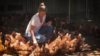 Rachel Wilson an Australian freerange egg farmer [upl. by Eleonora]