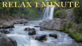 Relax 1 min  Waterfall  Relaxing Nature Sounds [upl. by Sprung502]