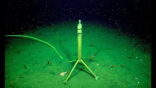 7 Eerie Sounds Recorded in the Deep Ocean [upl. by Ellecram]