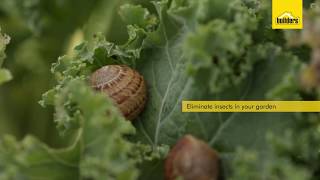 How Do Insecticides Work [upl. by Edvard312]