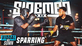 VIDDAL RILEY VS THE SIDEMEN FULL SPARRING [upl. by Niuq]