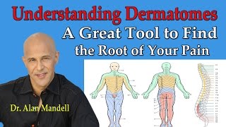 Understanding Dermatomes  A Great Tool to Find the Root of Your Pain  Dr Mandell [upl. by Leia]