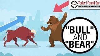 Why are Bull and Bear Markets Called That [upl. by Kearney157]