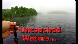 Fishing Remote Lake DEEP In the Woods of Northern Wisconsin [upl. by Noirod520]