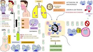 Micobacterium Tuberculosis [upl. by Nessi]