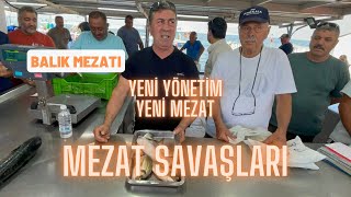 Bu mezatın fiyatları sence nasıldı Mavişehir Balık Mezatı 25062024 [upl. by Yadrahs907]