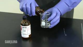 Nylon Synthesis Chemistry Demo [upl. by Llehcram]