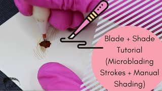 Microblading Blade  Shade Tutorial Manual Shading DemoCombo Brows [upl. by Ahseken781]