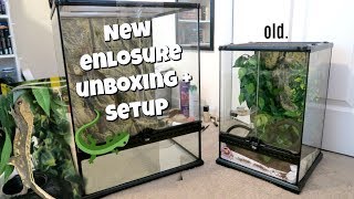 HUGE CRESTED GECKO ENCLOSURE UPGRADE🦎💚 [upl. by Dasteel863]