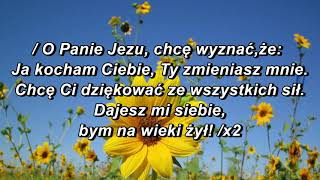 Uwielbiam Imię Twoje  PANIE [upl. by Joanne]