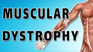 Muscular Dystrophy [upl. by Booker470]