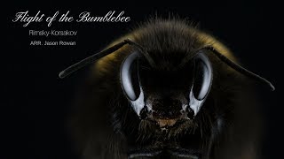 Flight Of The Bumblebee Techno Remix 2018 Rimsky Korsakov [upl. by Leund]