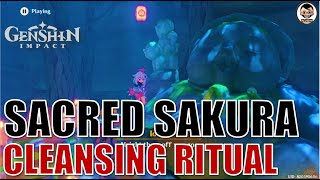 Complete Guide Cleansing Defilement  Sacred Sakura Cleansing Ritual Part1  Genshin Impact [upl. by Roeser]