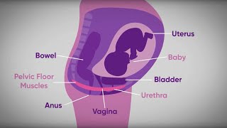 Pelvic floor exercises during pregnancy  txt4two Program  Mater Mothers [upl. by Croix]