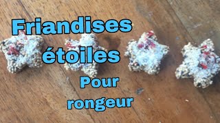 friandises pour rongeur  de noel [upl. by Anauqaj188]