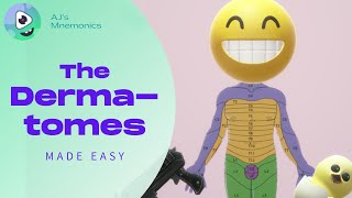 How to Easily Memorize the Dermatomes [upl. by Libyc]