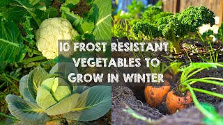 10 Frost Resistant Vegetables to Grow in Winter [upl. by Lekym]