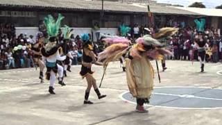 TOBAS DANZA AMAZONAS [upl. by Bekah]