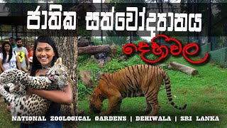 DEHIWALA ZOO  NATIONAL ZOOLOGICAL GARDENS  SRI LANKA [upl. by Etteiram]