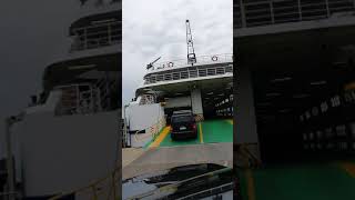 Sorrento to Queenscliff ferry [upl. by Ynabe]