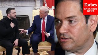 You Dont See All The Things That Led Up To This Rubio Defends Trump After Clash With Zelensky [upl. by Yrennalf356]