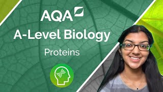 AQA A Level Biology Proteins [upl. by Ateuqirne]