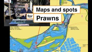 PRAWN FISHING Logan River to Caboolture River Napa and spots [upl. by Ecirrehs900]