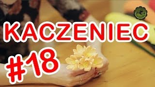 Kwiatki z bibuły 18  kaczeniec [upl. by Oinotnas]