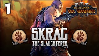 THE SLAUGHTERER RISES Total War Warhammer 3  Skrag the Slaughterer  Ogre Kingdoms Campaign 1 [upl. by Clower422]