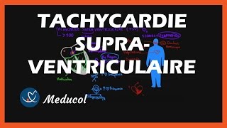 Atrial Rhythms  EKG Interpretation  LevelUpRN [upl. by Ivon]