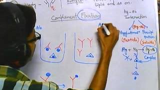 Complement fixation test [upl. by Sayed610]