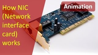 Animation of working of NICNetwork Interface Card  How NIC works [upl. by Taber866]